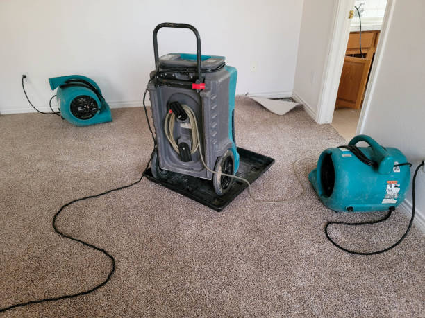 Water damage restoration mold remediation in Four Corners, MD