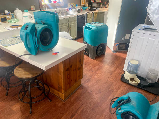 Best Water damage restoration services  in Four Corners, MD
