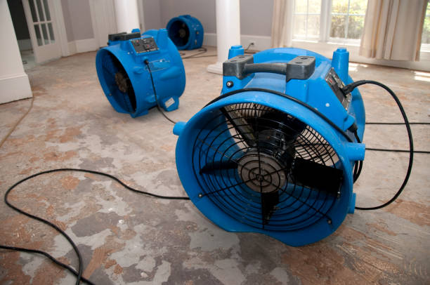 Best Local water damage restoration  in Four Corners, MD
