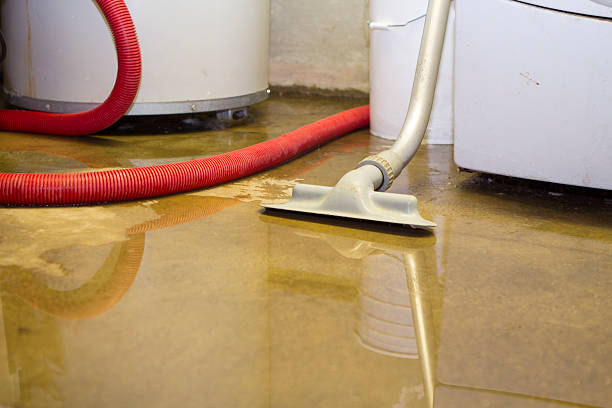 Best Flood restoration services  in Four Corners, MD