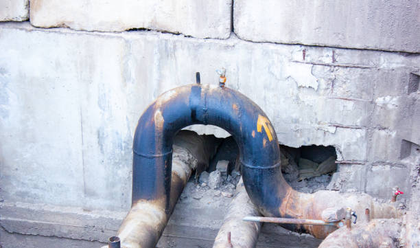 Best Water damage restoration company  in Four Corners, MD