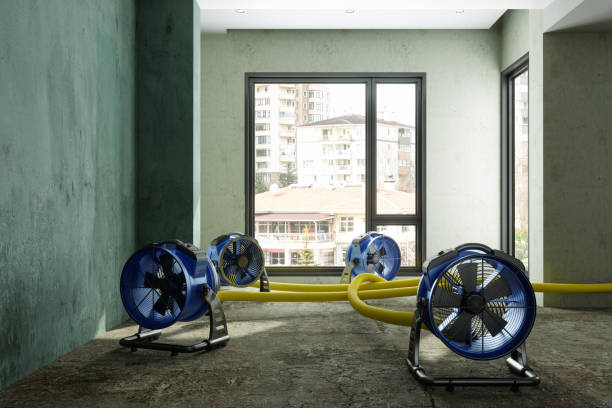 Best Basement water damage restoration  in Four Corners, MD