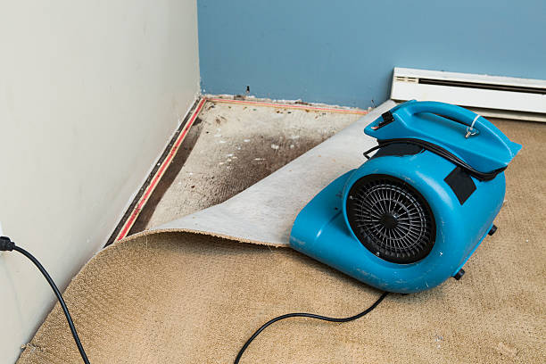 Best Carpet water damage restoration  in Four Corners, MD